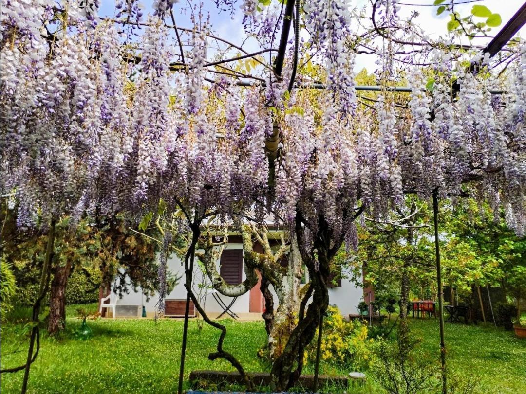 Casetta In Collina Sezze Exterior photo
